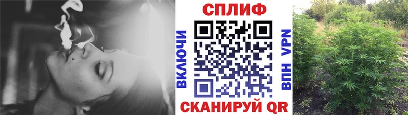 Какие есть наркотики Полярные Зори Конопля  Альфа ПВП  ГАШИШ  МЕФ  COCAIN 
