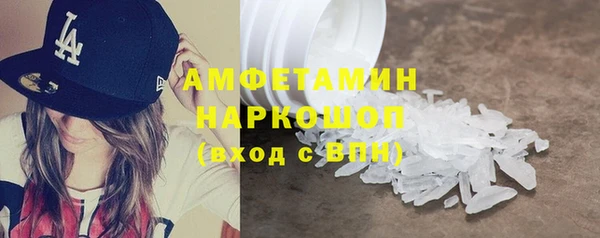 гашик Няндома
