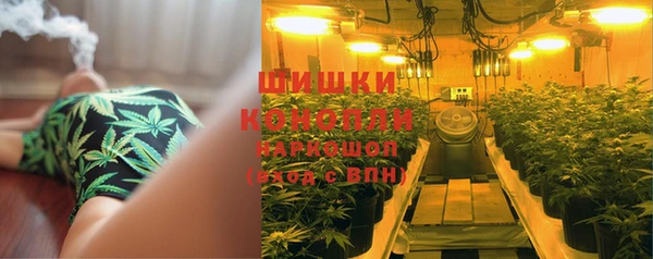 экстази Арсеньев